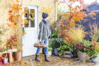 Woman walking past mixed containers carrying a trug of tulip bulbs with Autumn leaves scattered on deck