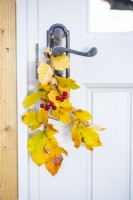 Beech sprigs and Hawthorn berries hanging from door handle