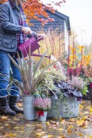 Woman watering metal containers planted with Calluna, Phormium 'Red Stripe', Hebe 'Jewel of the Nile', Heuchera 'Plum Pudding', Ivy and Cornus alba 'Siberica' with leaves scattered across the deck