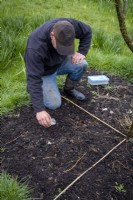 Sprinkling fertiliser across a measured patch of prepared ground.