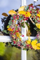 Wreath made up of Ivy, Beech sprigs and Hawthorn hanging from door