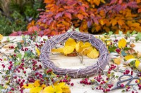 Twig wreath on table with Ivy, Beech sprigs and Hawthorn berries around