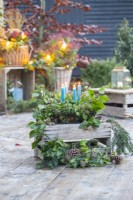 Candles in metal basket with Ivy Hedera and Yew sprigs on wooden crate with more Ivy, Yew and pinecones on the ground beneath it