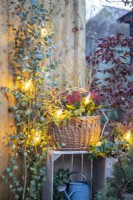 Wicker basket containing Skimmia, Leucothoe, and Stipa on a wooden crate next to Eucalyptus with Lights strewn across