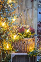 Wicker basket containing Skimmia, Leucothoe, and Stipa on a wooden crate next to Eucalyptus branches with Lights strewn across