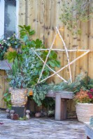 Light up Birch star on wooden bench with Pine and Laurel branches next to wicker container with Juniper, Eucalyptus sprigs and Cornus sticks and another container with Thuja, Fern and Skimmia on the other side