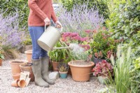 Woman watering container planted with bulbs