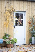 Front door with branches hanging besides it with planted containers either side of the door and autumn leaves scattered around deck