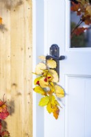 Beech leaves and Hawthorn berries hanging from door handle as decoration
