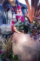 Woman planting Cyclamen in container with Cordyline 'Red Star', Carex 'Bronco' amd Leucothoe 'Zeblid'