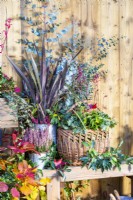 Wicker basket containing Heuchera, Portuguese Laurel and Eucalyptus sprigs with Calluna and Phormium in metal containers beside it on wooden bench