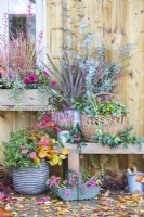 Wooden bench with Calluna and Phormium planted in metal containers and a wicker basket containing Heuchera, Portuguese Laurel and Eucalyptus sprigs with a basket of berries and Autumn leaves scattered across the deck