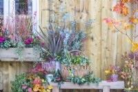 Wooden bench with Calluna and Phormium planted in metal containers and a wicker basket containing Heuchera, Portuguese Laurel and Eucalyptus sprigs