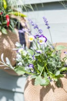 Hat planter containing Lavender and Violas hanging on wooden fence