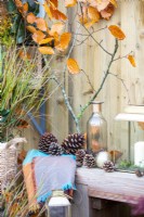 Wooden bench with a blanket, pinecones, glass bottle, bauble, lantern and a beech branch