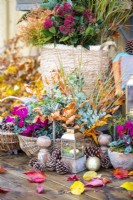 Small lanterns, pinecones and potted Cyclamen in front of wicker basket containing Stipa, Eucalyptus sprigs, Beech sprigs, Chamaecyparis and Cyclamen