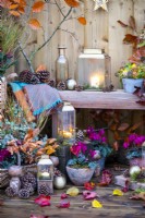 Lanterns, pinecones, baubles, potted Cyclamen and wicker basket containing Beech sprigs, Eucalyptus, Chamaecyparis and Stipa with wooden bench behind with Lantern, pinecones, glass bottle, small metal pot of lights and Ivy and a blanket with leaves scattered across the ground
