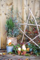 Light up Birch star, Candles, Cotoneaster, trug of Ivy, wicker basket containing Juniper, Eucalyptus sprigs and Cornus twigs with moss placed around and leave scattered across the deck