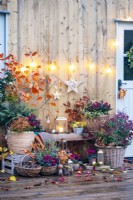 Various wicker containers planted with Fern, Thuja, Stipa, Skimmia, Leucothoe, Pieris, Cyclamen and Chamaecyparis with lanterns, pinecones, baubles and leaves scattered throughout with hanging lights and stars on the wall above