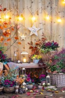 Various wicker containers planted with Stipa, Skimmia, Leucothoe, Pieris, Cyclamen and Chamaecyparis with lanterns, pinecones, baubles and leaves scattered throughout with hanging lights and stars on the wall above
