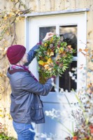 Woman hanging wreath made up of Beech sprigs, Portuguese laurel sprigs, Teasel heads and Hawthorn twigs on a door