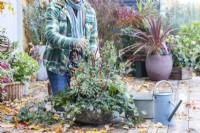 Woman placing Cornus - Dogwood sticks in shallow container with Eucalyptus sprigs, Euphorbia, Carex, Ivy and Chamaecyparis