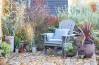 Recycled plastic chair with cushions and blanket with wicker trug containing Euphorbia, Carex and Chamaecyparis and a larger container planted with Cordyline, Carex and Cyclamen surrounded by mixed planting and leaves scattered across a wooden deck