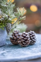 Pinecones on a metal table covered in frost