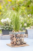 Small metal pot with stones glued to it planted with Carex 'Frosted Curls'