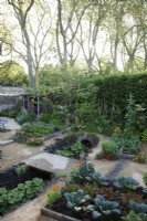 View of vegetable garden in The Savills Garden with wasabi, Eutrema japonicum growing - Designer: Mark Gregory - Sponsor: Savills -