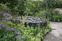 Rodgersia podophylla has been planted close to the water feature in Horatio's Garden - Designer: Charlotte Harris and Hugo Bugg  -Sponsor: Project Giving Back -
