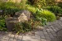 Reclaimed cobble and stone paving slabs and gravel for rainwater drainage - mixed perennial planting with Hakonechloa macra, Hydrangea quercifolia, Bergenia ciliata 'Wilton' and Persicaria 'Indian Summer' growing under a stone boulder