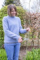Woman cutting side shoots off of flexible Willow stick