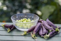 'Purple Podded' Peas in a glass dish next to empty pods