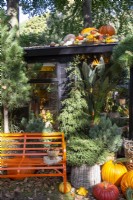Autumn themed display with different sizes of pumpkins, squashes - an orange metal bench seat outside a wooden cabin - RHS Chelsea flower Show September 2021 London