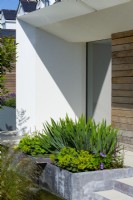 Mixed planting in raised metal bed with water feature in modern garden