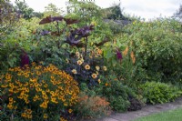 Helenium ' Wyndley', Dahlia 'Moonfire',  kniphofia, ricinus and  amaranthus in the Warm Border at Bourton House Garden, Gloucestershire.