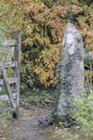 An open wooden gate with a granite post, with a path running through and trees and shrubs around with autumn foliage and colour. The Garden House, Yelverton. Autumn, November