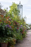 A summer display of container-grown flowering and foliage plants including heliotrope, lantana and begonia line a paved path with obelisks at Bourton House Garden, Gloucestershire