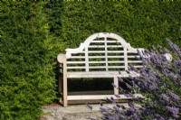 A wooden bench against a Taxus baccata hedge with lavender in front at Bourton House Garden, Gloucestershire
