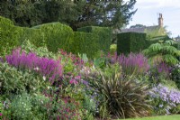 The West Lawn Border at Bourton House, Gloucesteshire is backed by a shaped Taxus baccata hedge.