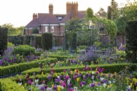 A Victorian walled garden has a central arbour, around which a formal arrangement of differently shaped, box edged beds emanate: planted with tulips, honesty, euphorbia and a sea of leafy perennials. Yew columns add permanence.