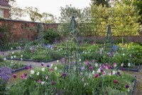 Four square, rope-edged beds are filled with tulips, camassias, centaurea, honesty, angelica and clematis scrambling up central  metal obelisks. Behind, a screen of pleached Malus 'Evereste'.