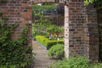 An archway in the kitchen garden wall frames a view of the formal parterre with tulips and a metal fruit tunnel.