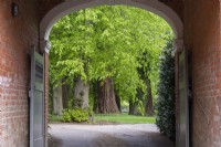 The coach house entrance frames a view of the trunks of old lime trees and giant redwoods.