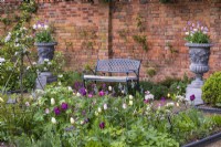 Flanked by tall urns of tulips, a bench is seen over a bed of apple cordons, tulips, honesty and leafy perennials.