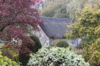 A view through trees with a variety of autumn coloured foliage to an old stone barn with thatched roof. The Garden House. Autumn, November. 