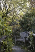 A wooden bench, on a bend, beside a narrow path through shrubs and trees. The Garden House, Yelverton. Autumn, November