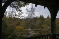 An autumn view out from the wooden summerhouse across the Quarry Garden with the Cottage Garden in the background, with a winding gravel path through the middle. The Garden House, Yelverton. Autumn, November