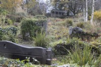 The back of a wooden bench is in the foreground with a stone wall in the centre and a large wooden summerhouse in the background. Between is a variety of planting. The Garden House, Yelverton. Autumn, November
